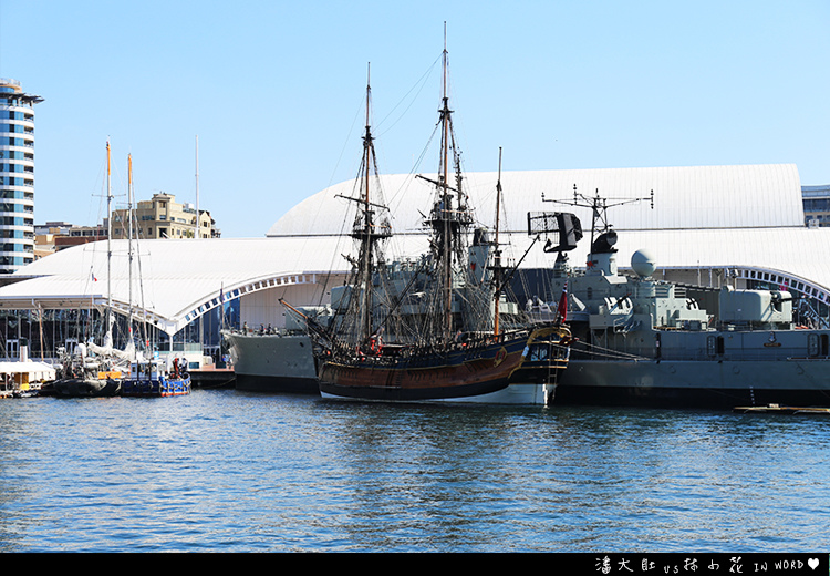 悉尼水族館15 悉尼水族館15