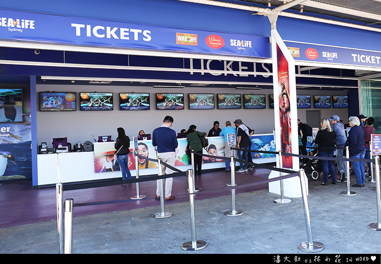 悉尼水族館16 悉尼水族館16