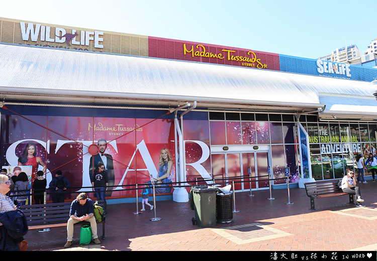 悉尼水族館17 悉尼水族館17