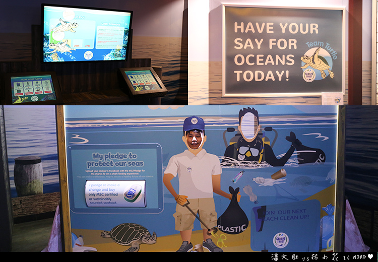 悉尼水族館19 悉尼水族館19