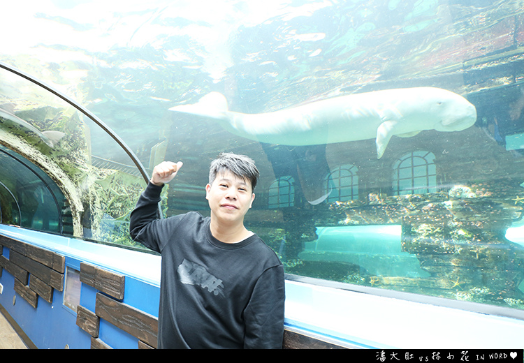 悉尼水族館21 悉尼水族館21