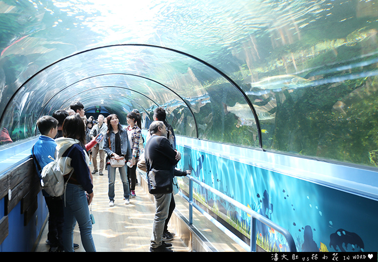 悉尼水族館23