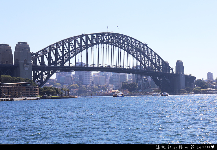 塔龍加動物園11