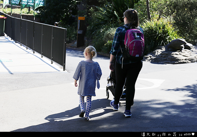 塔龍加動物園35