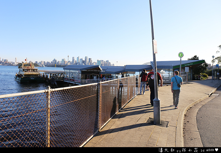 塔龍加動物園36