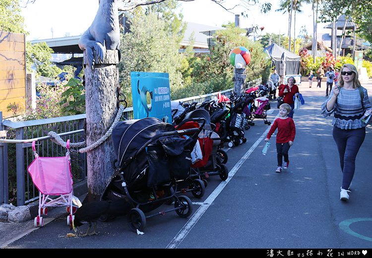 塔龍加動物園39