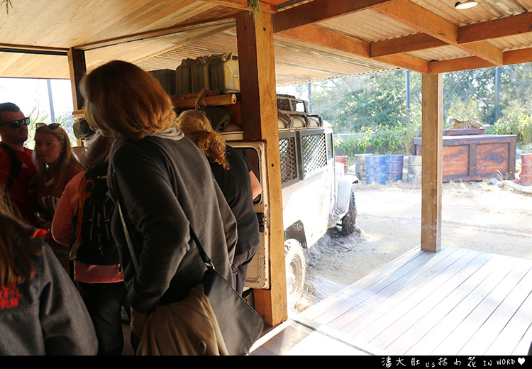 塔龍加動物園41