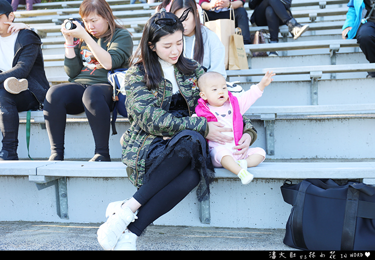 塔龍加動物園57