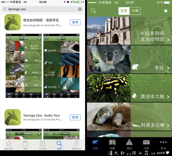 塔龍加動物園62