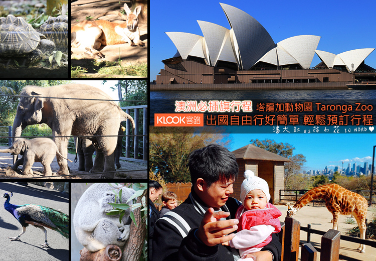 客路動物園 客路動物園
