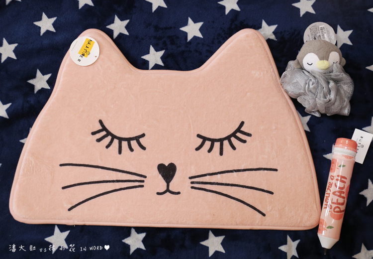 地墊.jpg 地墊.jpg