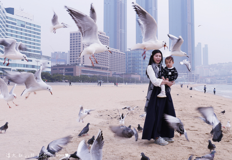 海雲台-23 海雲台-23