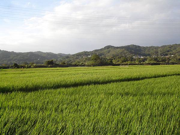 2013遠東新世紀馬拉松 (6)