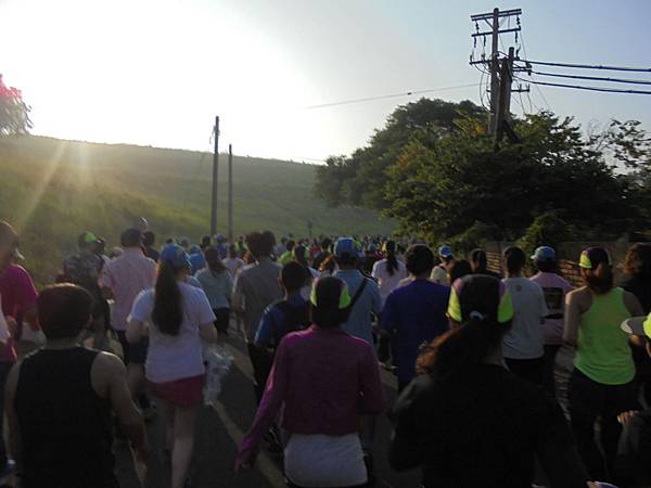 2014臺南秋季馬拉松7K (10).JPG