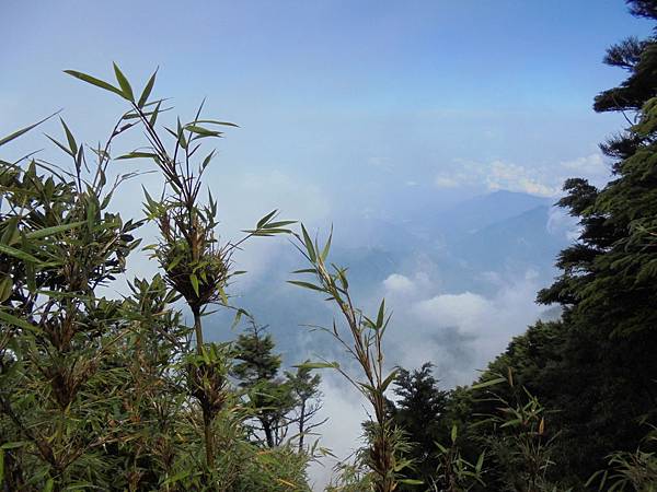 20150718北大武山 (38).JPG