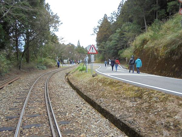 20160201祝山觀日 (21).JPG