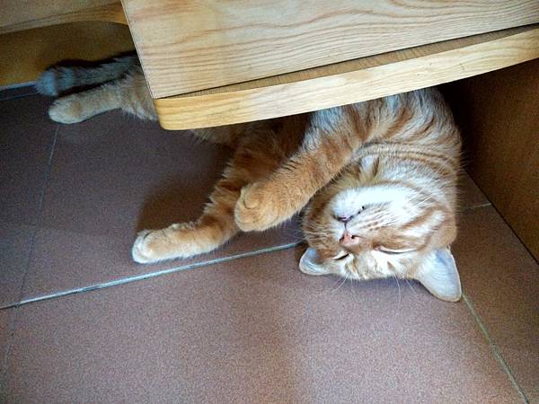 IMG_20170702_143649_HDR.jpg IMG_20170702_143649_HDR.jpg