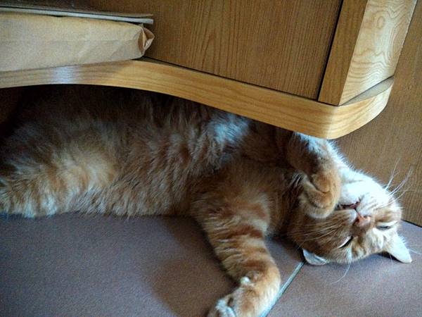 IMG_20170702_143942_HDR.jpg IMG_20170702_143942_HDR.jpg