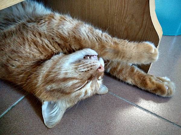 IMG_20170702_144625_HDR.jpg IMG_20170702_144625_HDR.jpg