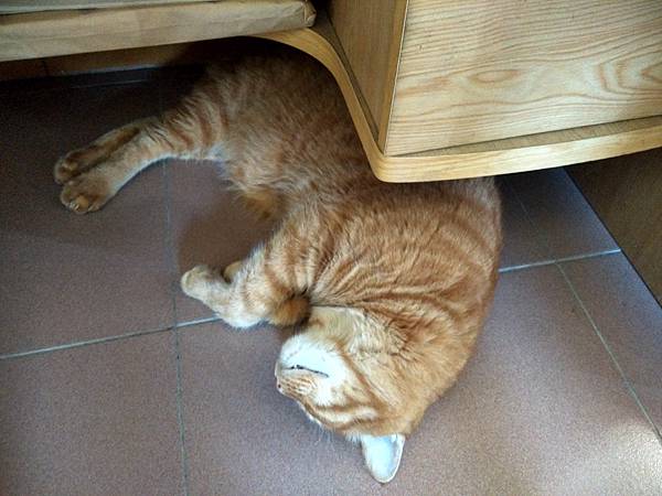 IMG_20170702_145724_HDR.jpg IMG_20170702_145724_HDR.jpg