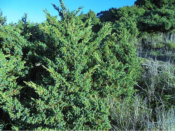 20170811-13嘉明湖 (274).jpg