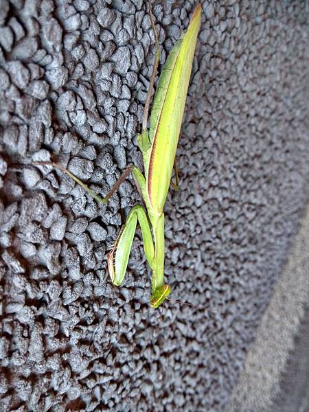 IMG_20171226_140022_HDR.jpg IMG_20171226_140022_HDR.jpg