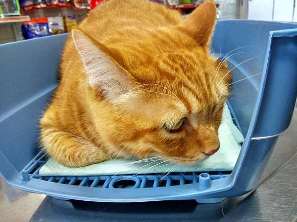 IMG_20180404_173531_HDR.jpg IMG_20180404_173531_HDR.jpg