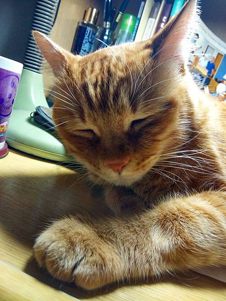 IMG_20180403_220955_HDR.jpg IMG_20180403_220955_HDR.jpg