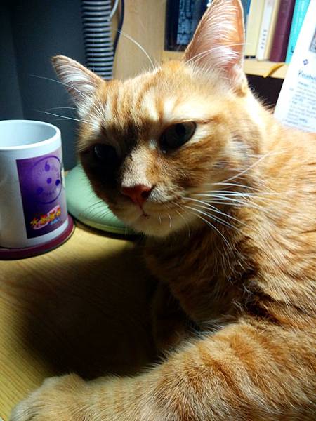 IMG_20180403_221005_HDR.jpg IMG_20180403_221005_HDR.jpg