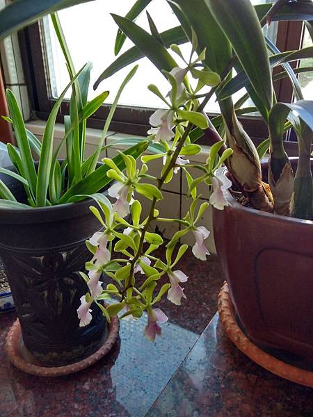 IMG_20180517_074742_HDR.jpg IMG_20180517_074742_HDR.jpg
