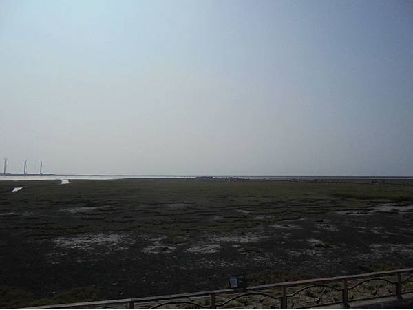 20180524 (27).jpg 20180524 (27).jpg
