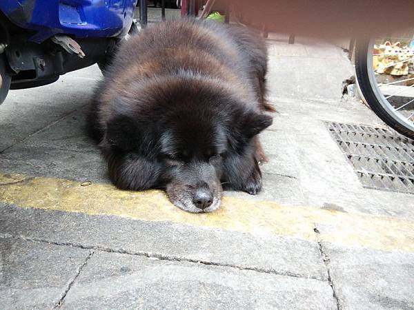 IMG_20190216_124937.jpg IMG_20190216_124937.jpg