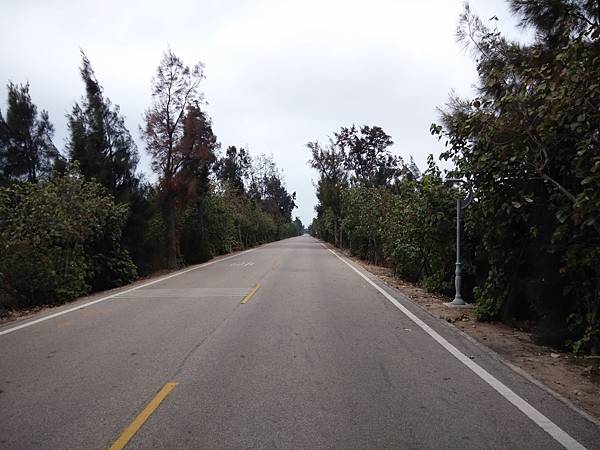 IMG_20190216_144115.jpg IMG_20190216_144115.jpg