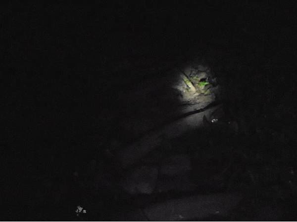 20191109北大武山單攻 (5).jpg 20191109北大武山單攻 (5).jpg