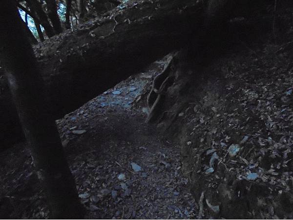 20191109北大武山單攻 (14).jpg 20191109北大武山單攻 (14).jpg