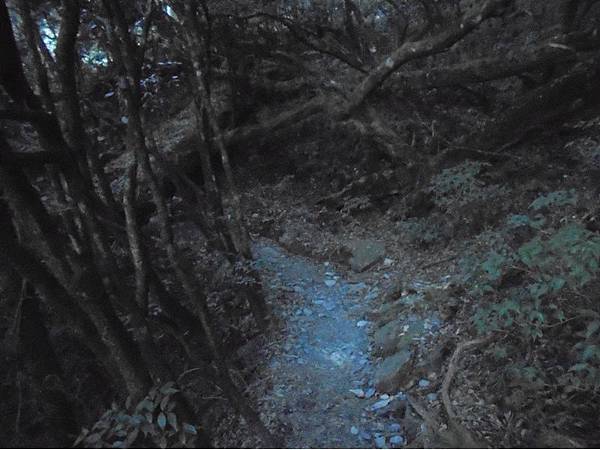 20191109北大武山單攻 (13).jpg 20191109北大武山單攻 (13).jpg