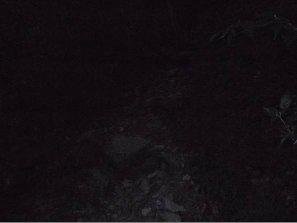 20191109北大武山單攻 (10).jpg 20191109北大武山單攻 (10).jpg