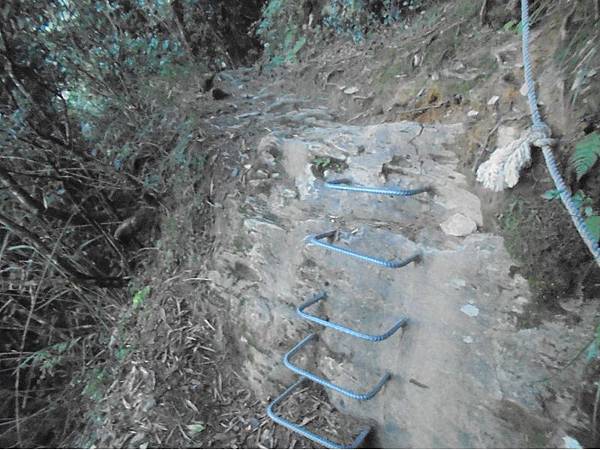 20191109北大武山單攻 (12).jpg 20191109北大武山單攻 (12).jpg