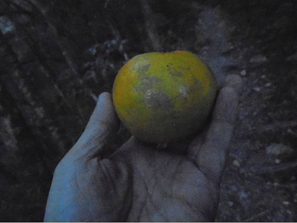 20191109北大武山單攻 (15).jpg 20191109北大武山單攻 (15).jpg