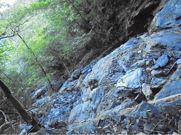 20191109北大武山單攻 (19).jpg 20191109北大武山單攻 (19).jpg