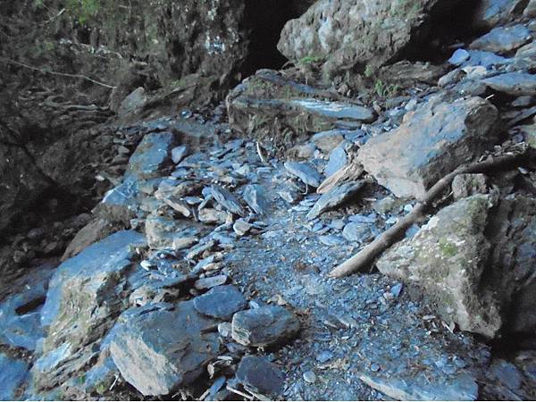 20191109北大武山單攻 (18).jpg 20191109北大武山單攻 (18).jpg