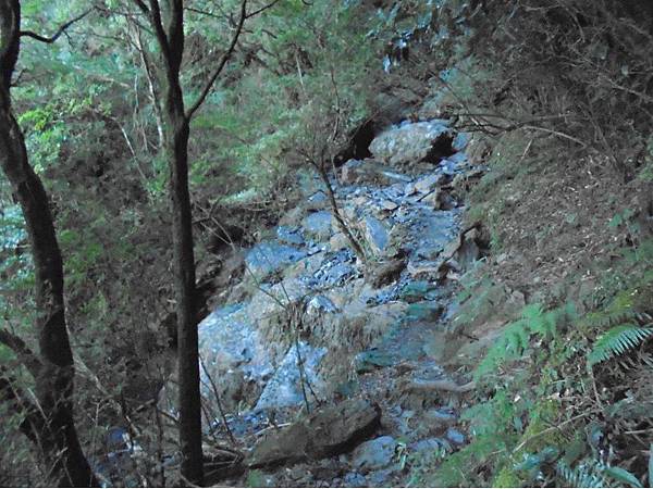 20191109北大武山單攻 (17).jpg 20191109北大武山單攻 (17).jpg