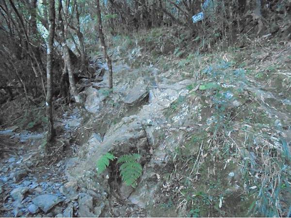 20191109北大武山單攻 (20).jpg 20191109北大武山單攻 (20).jpg