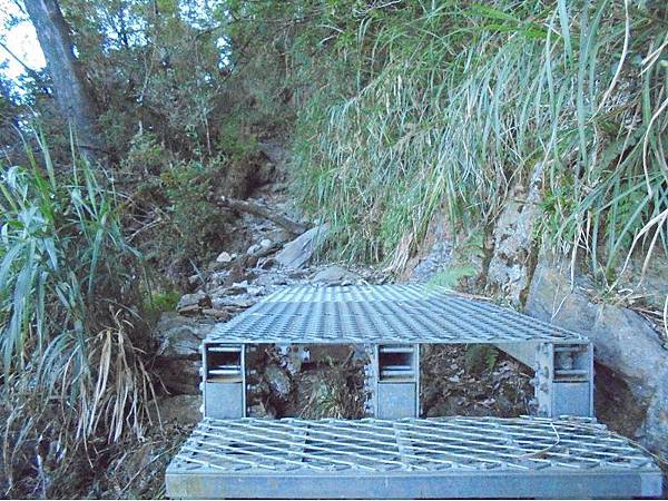 20191109北大武山單攻 (21).jpg 20191109北大武山單攻 (21).jpg