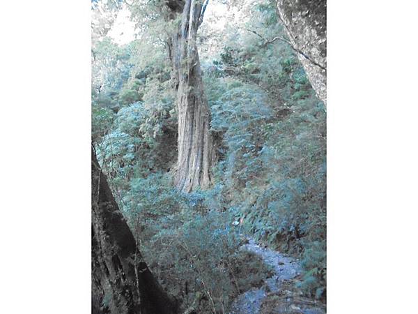 20191109北大武山單攻 (23).jpg 20191109北大武山單攻 (23).jpg