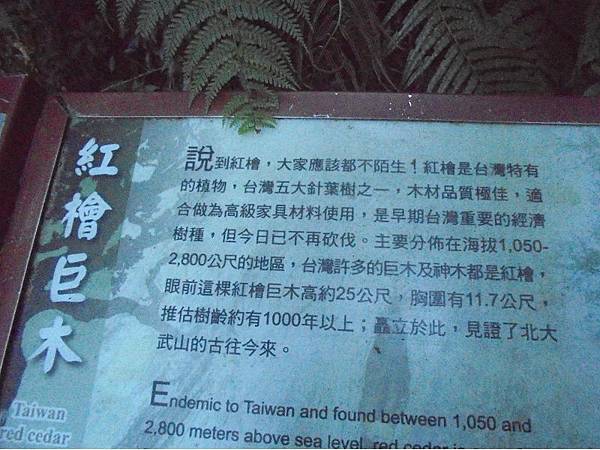 20191109北大武山單攻 (24).jpg 20191109北大武山單攻 (24).jpg