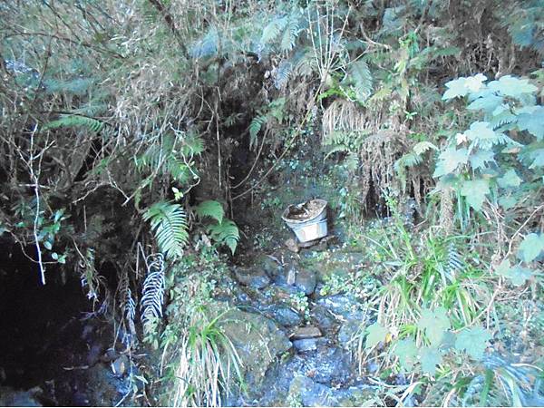 20191109北大武山單攻 (29).jpg 20191109北大武山單攻 (29).jpg