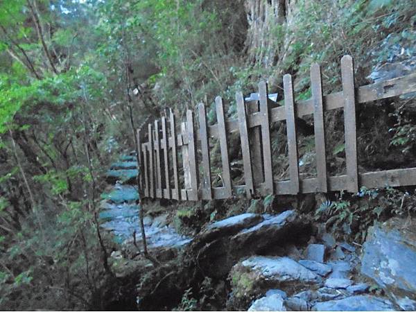 20191109北大武山單攻 (25).jpg 20191109北大武山單攻 (25).jpg