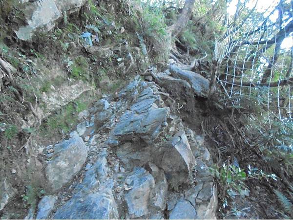 20191109北大武山單攻 (26).jpg 20191109北大武山單攻 (26).jpg