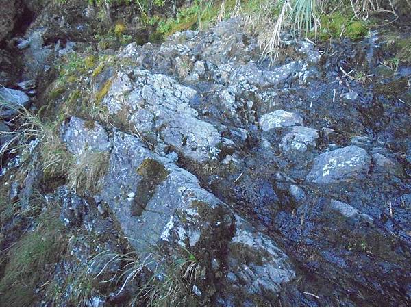 20191109北大武山單攻 (32).jpg 20191109北大武山單攻 (32).jpg